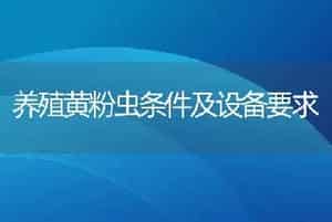 养殖黄粉虫条件及设备要求