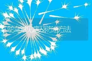 鸵鸟常见病及防治方法
