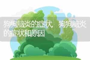 狗狗脑炎的症状，狗狗脑炎的症状和原因