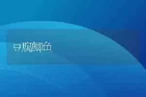 豆腐鲫鱼