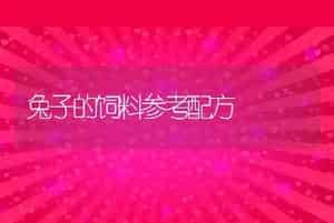 兔子的饲料参考配方