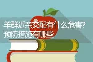 羊群近亲交配有什么危害？预防措施有哪些