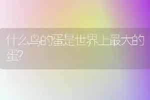 什么鸟的蛋是世界上最大的蛋？