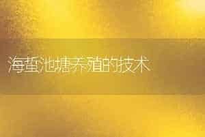 海蜇池塘养殖的技术
