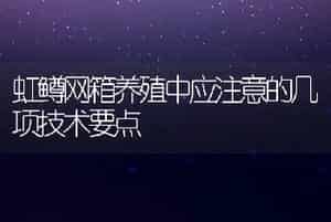 虹鳟网箱养殖中应注意的几项技术要点