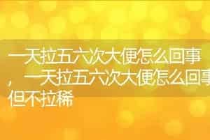 狐狸是保护动物吗，狐狸是保护动物吗？能否当宠物养