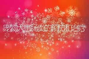 宠物犬患肠炎的预防和治疗