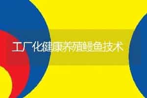 工厂化健康养殖鳗鱼技术