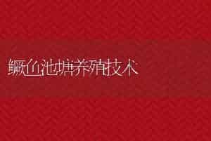 鳜鱼池塘养殖技术
