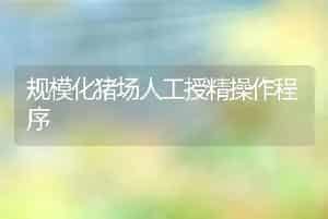 规模化猪场人工授精操作程序