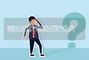鲤鱼池套养鲫鱼预防鱼病