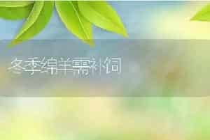 怎样防治猪密螺旋体病（猪痢疾）？