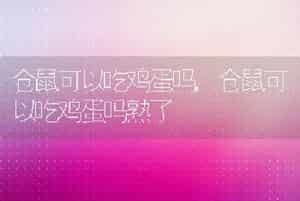 仓鼠可以吃鸡蛋吗，仓鼠可以吃鸡蛋吗熟了